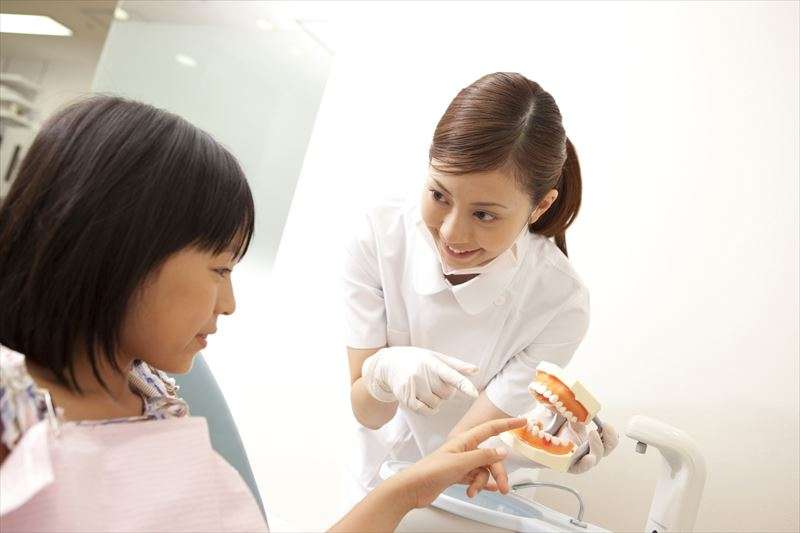 患者さんに歯の模型を見せるスタッフ